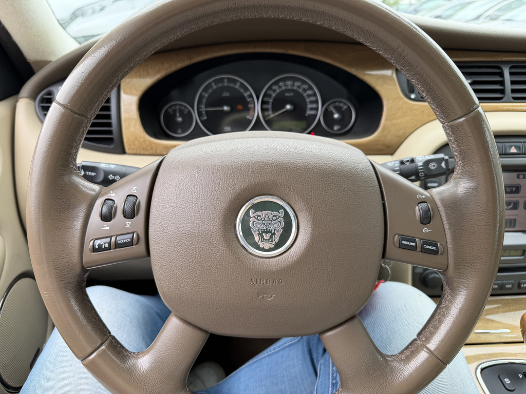 53293286-11.jpg