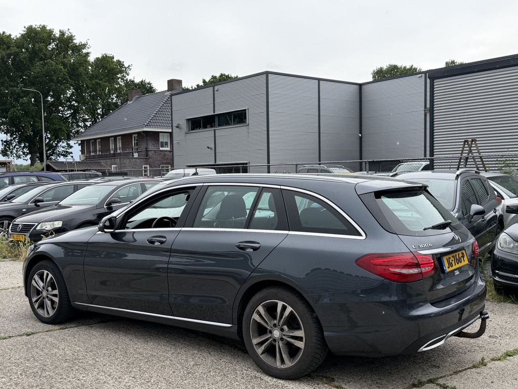 53986534-1.jpg